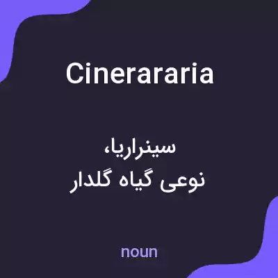 معنی cinerararia به فارسی معنی cinerararia به فارسی