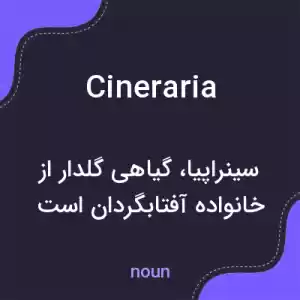 معنی cineraria به فارسی معنی cineraria به فارسی