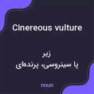 معنی cinereous vulture به فارسی معنی cinereous vulture به فارسی
