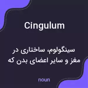 معنی cingulum به فارسی معنی cingulum به فارسی