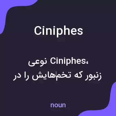 معنی ciniphes به فارسی معنی ciniphes به فارسی