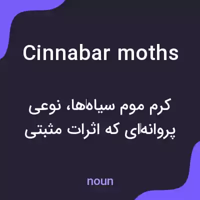معنی cinnabar moths به فارسی