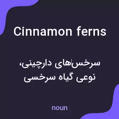 معنی cinnamon ferns به فارسی معنی cinnamon ferns به فارسی