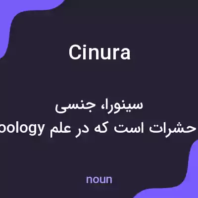 معنی cinura به فارسی معنی cinura به فارسی