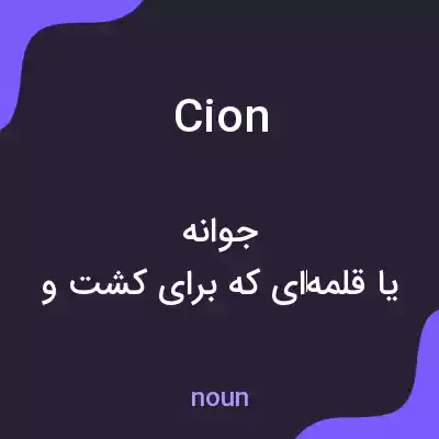 معنی cion به فارسی معنی cion به فارسی