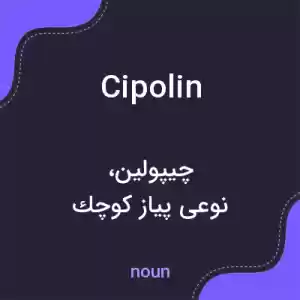 معنی cipolin به فارسی معنی cipolin به فارسی
