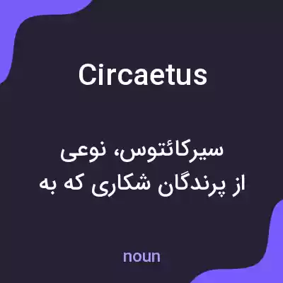 معنی circaetus به فارسی معنی circaetus به فارسی