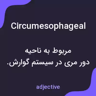 معنی circumesophageal به فارسی معنی circumesophageal به فارسی
