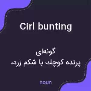 معنی cirl bunting به فارسی معنی cirl bunting به فارسی