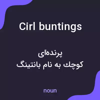 معنی cirl buntings به فارسی معنی cirl buntings به فارسی