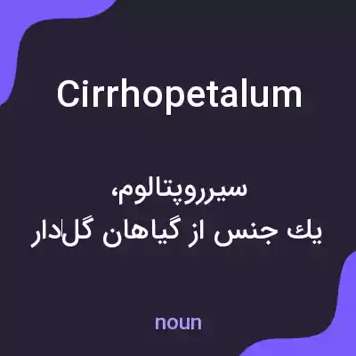 معنی cirrhopetalum به فارسی معنی cirrhopetalum به فارسی