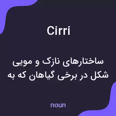 معنی cirri به فارسی معنی cirri به فارسی