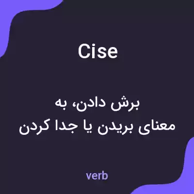 معنی cise به فارسی معنی cise به فارسی