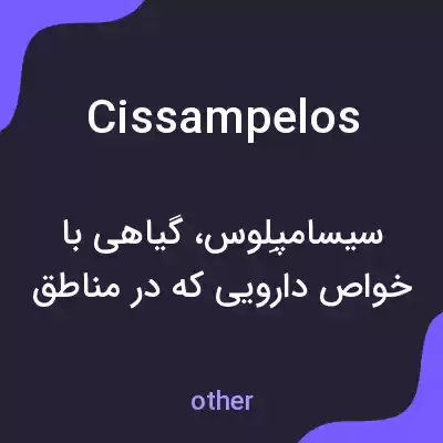 معنی cissampelos به فارسی معنی cissampelos به فارسی