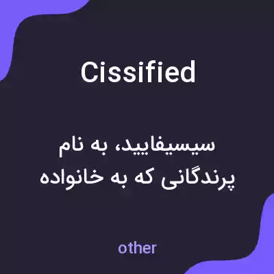 معنی cissified به فارسی معنی cissified به فارسی