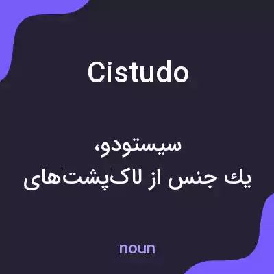 معنی cistudo به فارسی معنی cistudo به فارسی