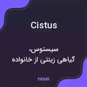 معنی cistus به فارسی معنی cistus به فارسی
