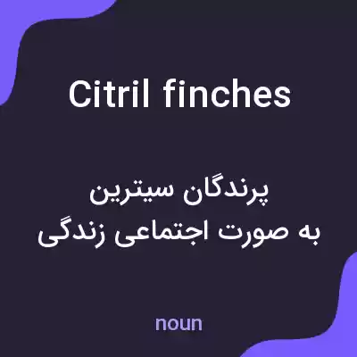 معنی citril finches به فارسی معنی citril finches به فارسی