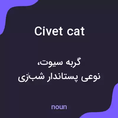 معنی civet cat به فارسی معنی civet cat به فارسی