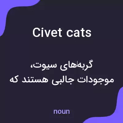 معنی civet cats به فارسی معنی civet cats به فارسی
