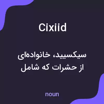 معنی cixiid به فارسی معنی cixiid به فارسی