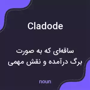 معنی cladode به فارسی معنی cladode به فارسی