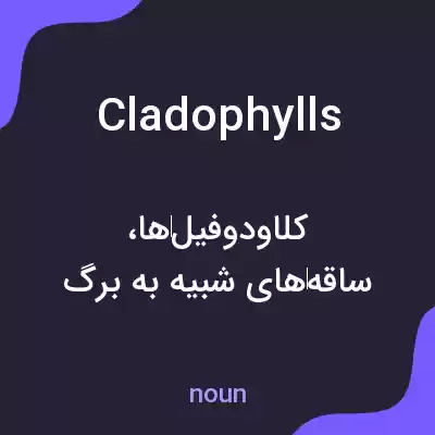 معنی cladophylls به فارسی معنی cladophylls به فارسی