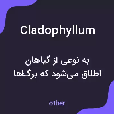 معنی cladophyllum به فارسی معنی cladophyllum به فارسی