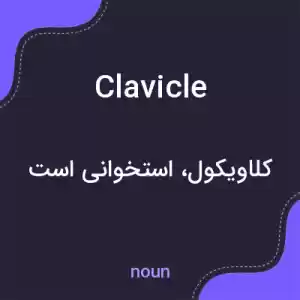 معنی clavicle به فارسی معنی clavicle به فارسی