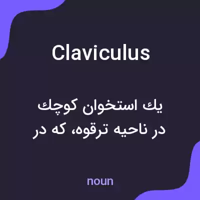 معنی claviculus به فارسی معنی claviculus به فارسی