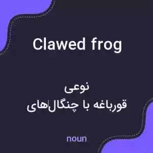 معنی clawed frog به فارسی