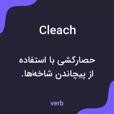 معنی cleach به فارسی معنی cleach به فارسی