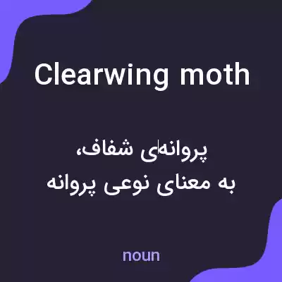 معنی clearwing moth به فارسی معنی clearwing moth به فارسی