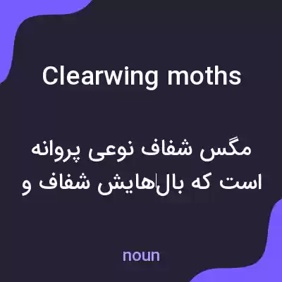 معنی clearwing moths به فارسی معنی clearwing moths به فارسی
