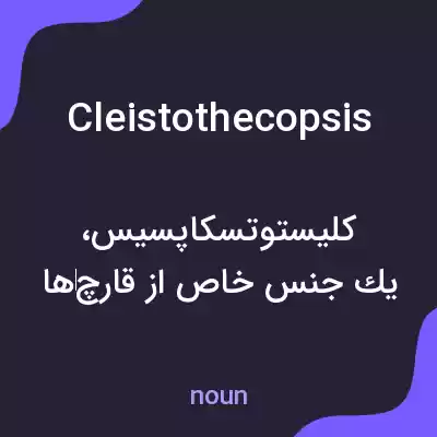 معنی cleistothecopsis به فارسی معنی cleistothecopsis به فارسی