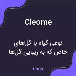 معنی cleome به فارسی معنی cleome به فارسی