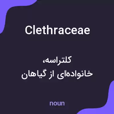 معنی clethraceae به فارسی معنی clethraceae به فارسی