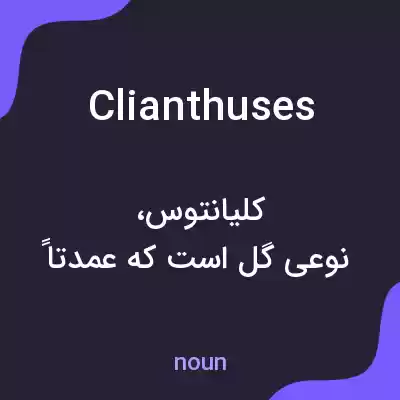 معنی clianthuses به فارسی معنی clianthuses به فارسی