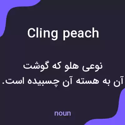 معنی cling peach به فارسی معنی cling peach به فارسی