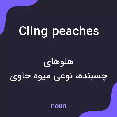 معنی cling peaches به فارسی معنی cling peaches به فارسی