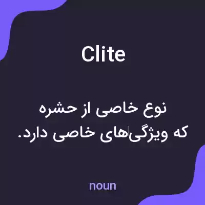 معنی clite به فارسی معنی clite به فارسی