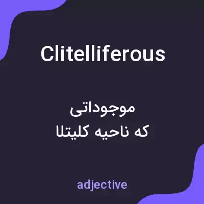 معنی clitelliferous به فارسی معنی clitelliferous به فارسی