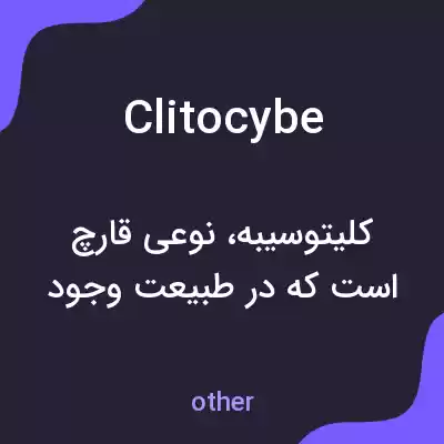 معنی clitocybe به فارسی معنی clitocybe به فارسی