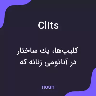 معنی clits به فارسی معنی clits به فارسی