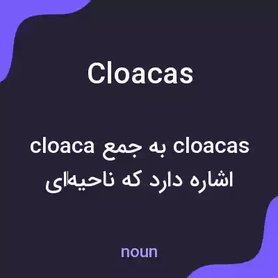 معنی cloacas به فارسی معنی cloacas به فارسی