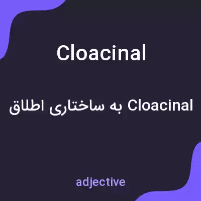 معنی cloacinal به فارسی معنی cloacinal به فارسی