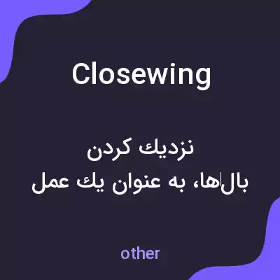 معنی closewing به فارسی معنی closewing به فارسی