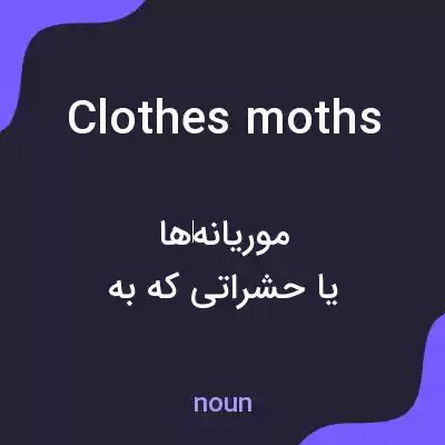 معنی clothes moths به فارسی معنی clothes moths به فارسی
