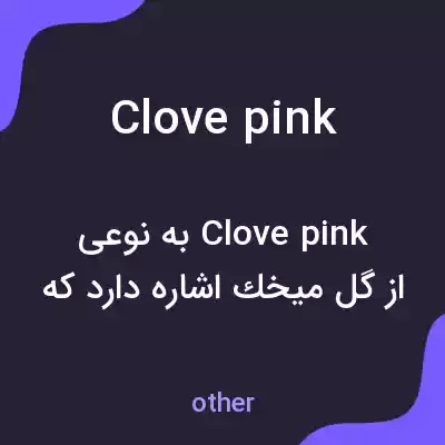 معنی clove pink به فارسی معنی clove pink به فارسی