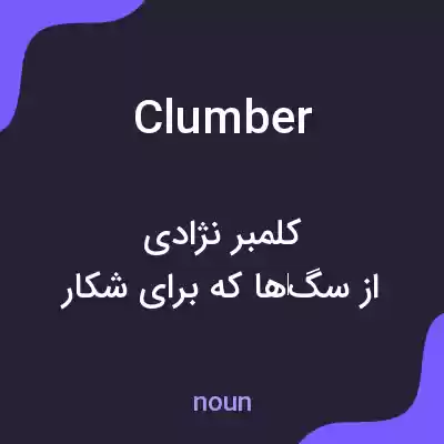 معنی clumber به فارسی معنی clumber به فارسی